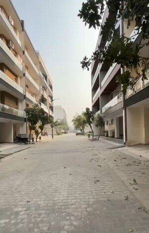 3 BHK Builder Floor For Sale in Sector 84