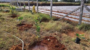  Plot For Sale in Bagalur