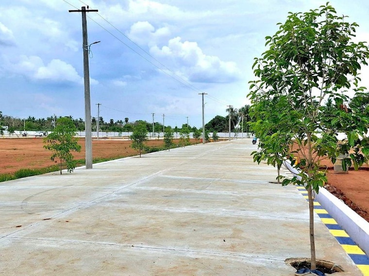 undefined, panjappur  1200 Sq.Ft. Plot In Panjappur Trichy 10195498