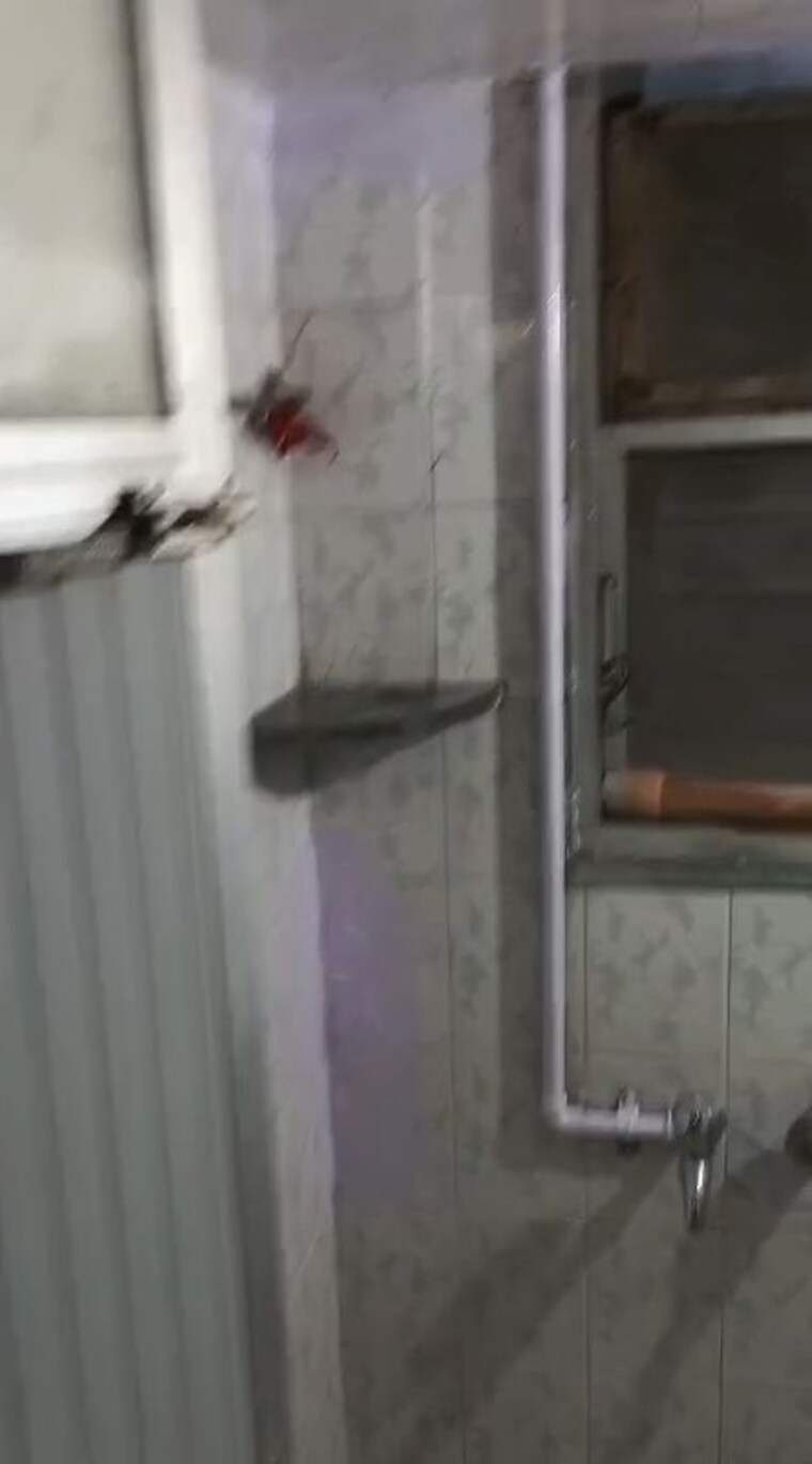 Balcony, andheri east 1.5 Bedroom 600 Sq.Ft. Apartment In Andheri East Mumbai 10195704