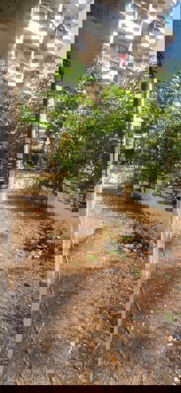 4 BHK + Extra Room 2000 Sq.Ft. Villa in Runal Deepmala