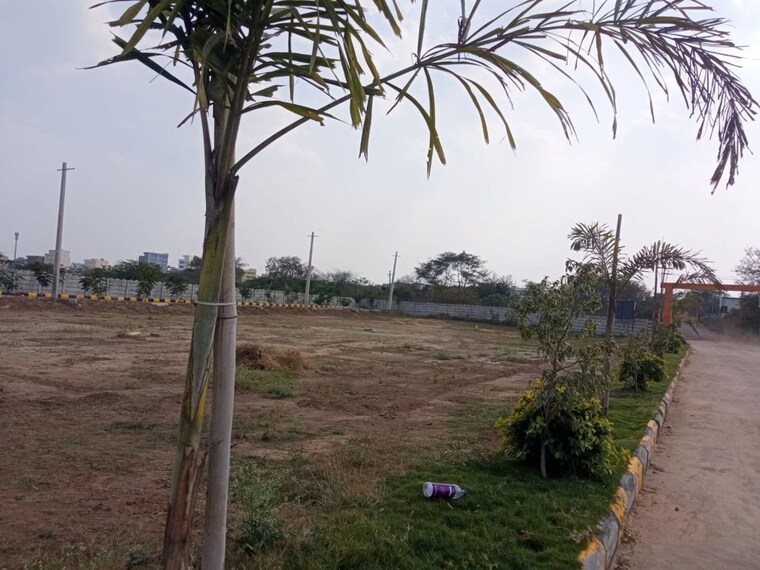 undefined, shadnagar  165 Sq.Yd. Plot In Shadnagar Hyderabad 10195872