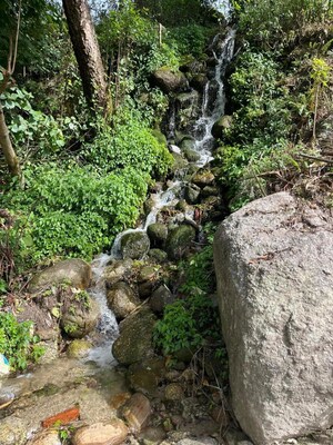 Plot Area in 4 BHK Villa at Sui – for Sale