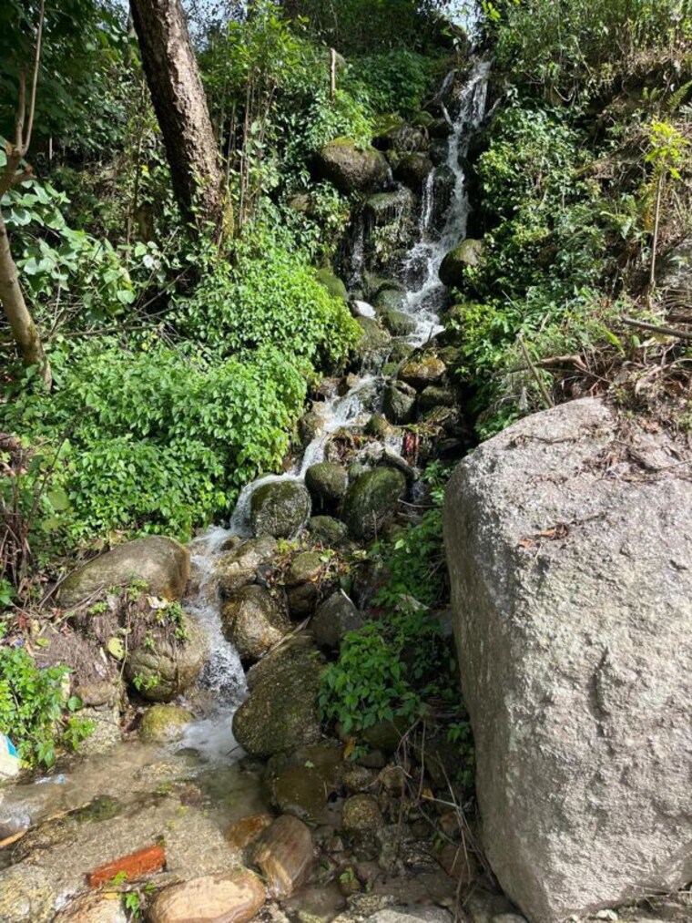 undefined, sui 4 Bedroom 7500 Sq.Ft. Villa In Sui Kangra 10196165