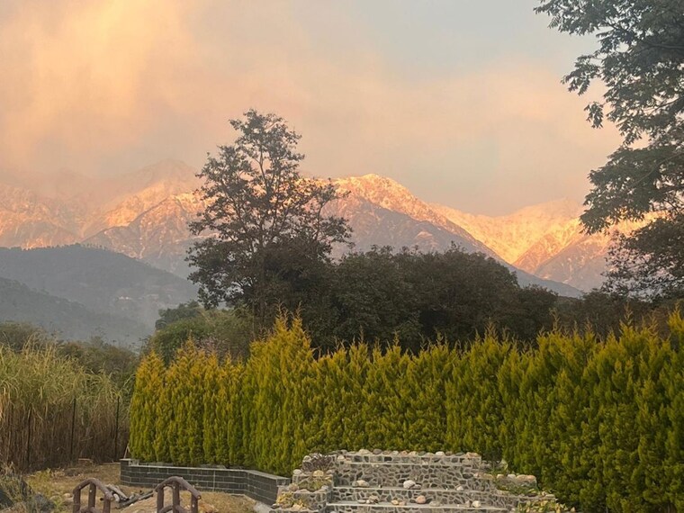 undefined, sui 4 Bedroom 7500 Sq.Ft. Villa In Sui Kangra 10196165