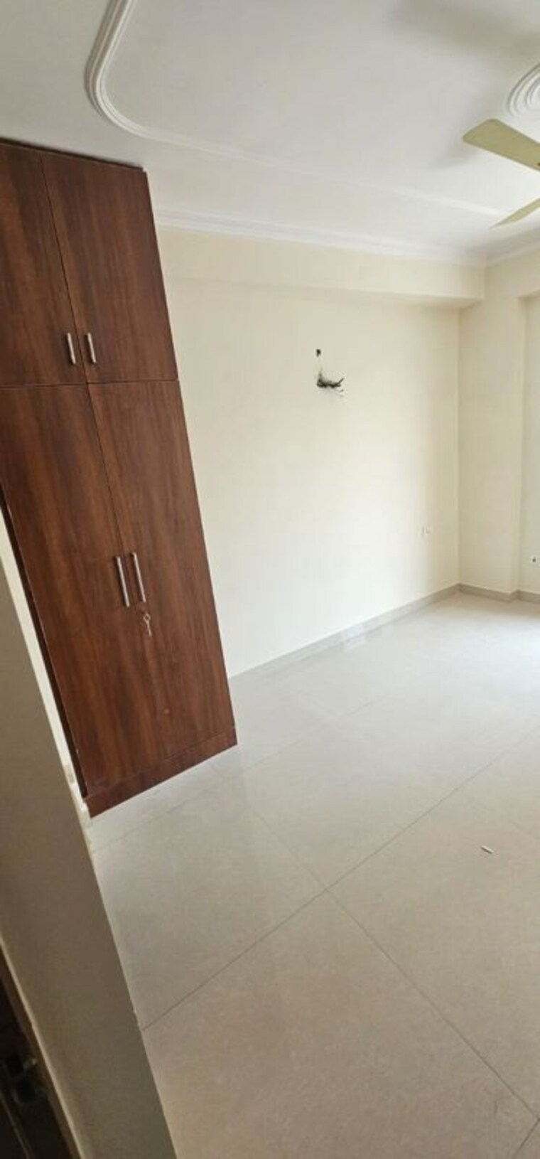 Room, sector 23 3 Bedroom 1800 Sq.Ft. Builder Floor In Sector 23 Gurgaon 10196616