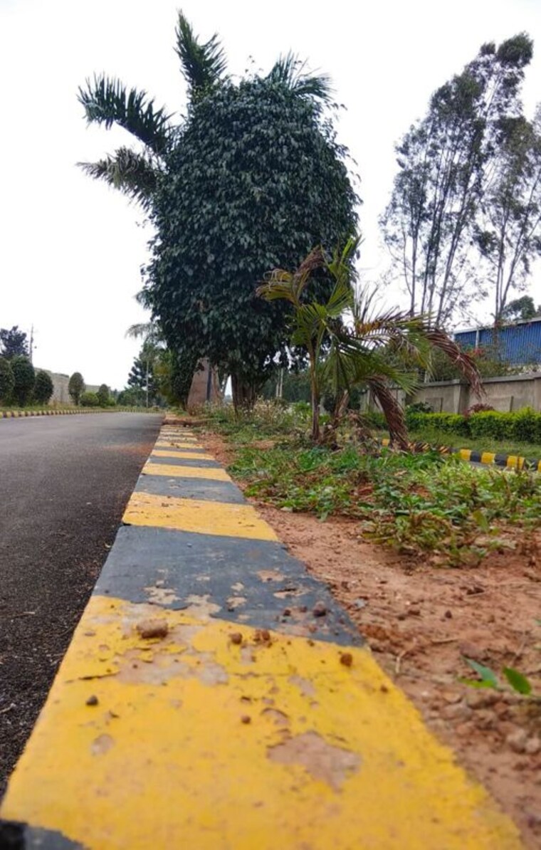 Garden, ambiience-aamby-city  2000 Sq.Ft. Plot In Hoskote Bangalore 10196818