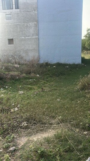  Plot For Sale in Ambala Highway