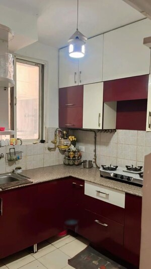 Kitchen in 3 BHK Apartment at Amrapali Golf Homes, Sector 4 Greater Noida – for Rent