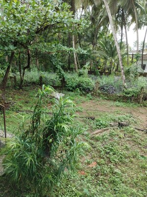 2 BHK Villa For Rent in Betalbatim