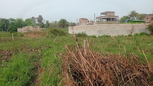  Plot For Sale in Netaji Pally