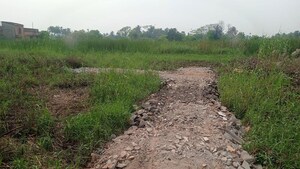 Plot Area in  Plot at Netaji Pally – for Sale