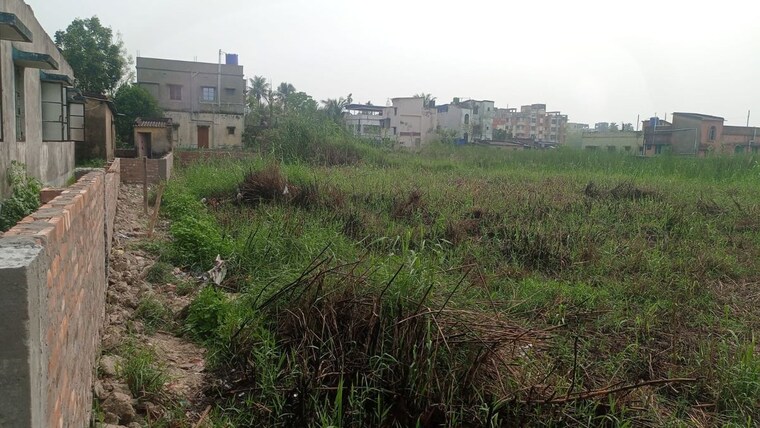 undefined, netaji pally  1440 Sq.Ft. Plot In Netaji Pally Kolkata 10199167