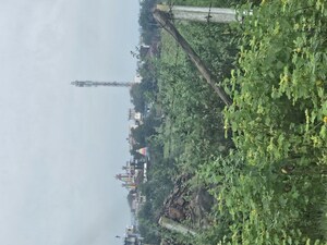   Plot at Shinde – for Sale