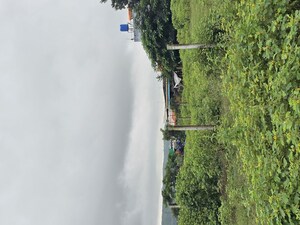  Plot – Garden View at Shinde - for Sale