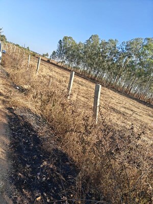 Plot Area in  Plot at Tindlu – for Sale