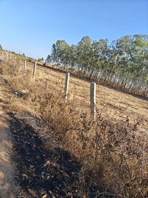 Plot Area in  Plot at Tindlu – for Sale