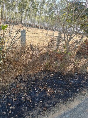 Plot Area in  Plot at Tindlu – for Sale