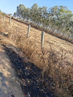 Plot Area in  Plot at Tindlu – for Sale