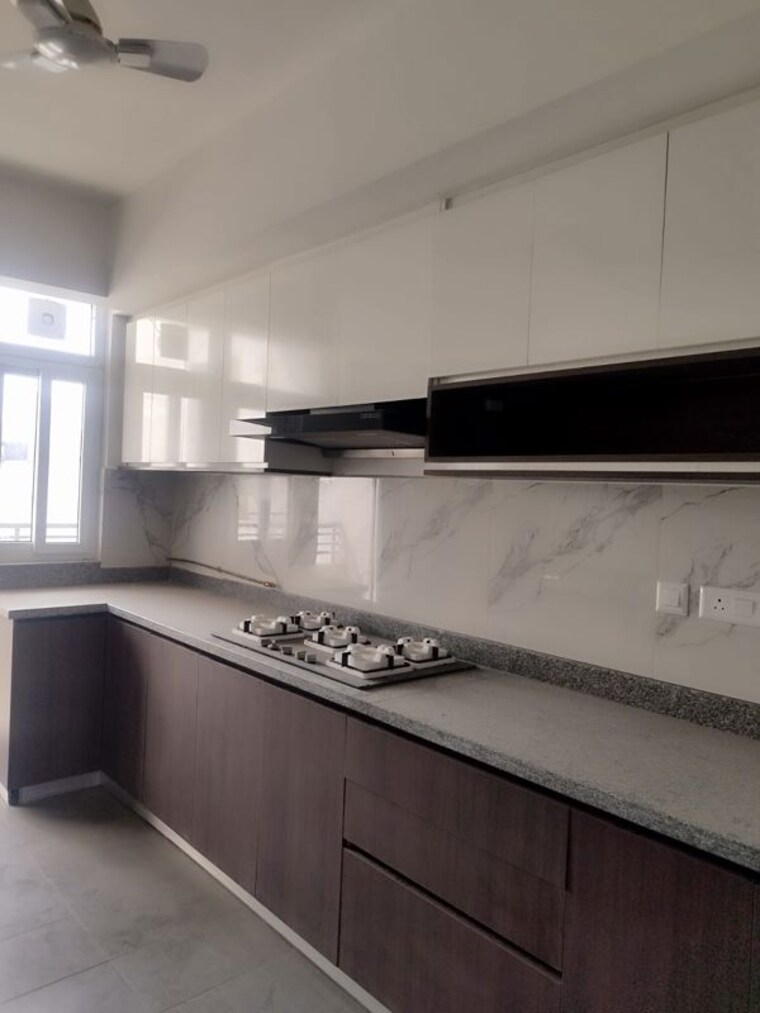 Kitchen, dlf-alameda-independent-floors 5 Bedroom 4500 Sq.Ft. Builder Floor In Sector 73 Gurgaon 10199972