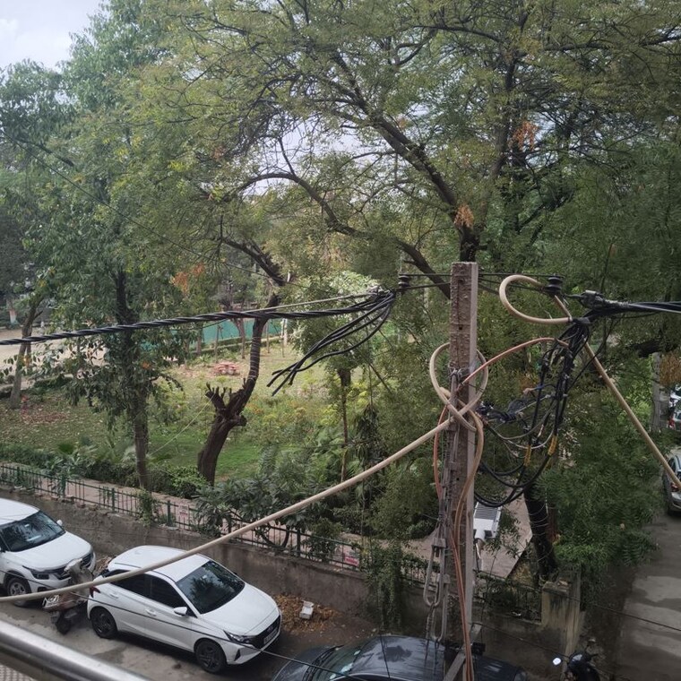 Garden, paschim vihar 4 Bedroom 250 Sq.Yd. Builder Floor In Paschim Vihar Delhi 10200044