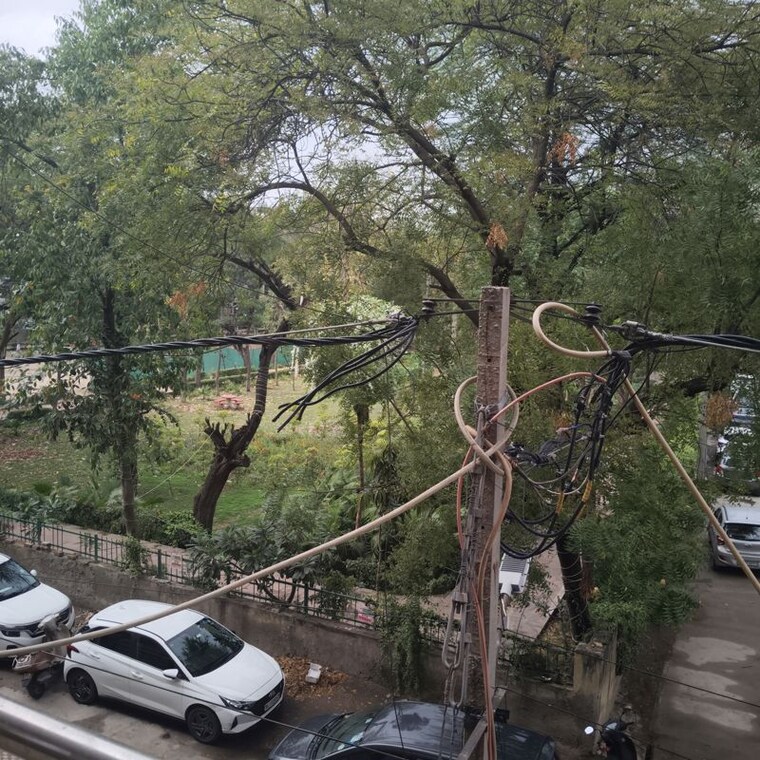 Garden, paschim vihar 4 Bedroom 250 Sq.Yd. Builder Floor In Paschim Vihar Delhi 10200044