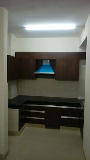 2 BHK Apartment For Rent in Aditya Celebrity Homes, Sector 76