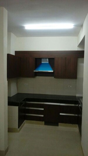 2 BHK Apartment For Rent in Aditya Celebrity Homes, Sector 76