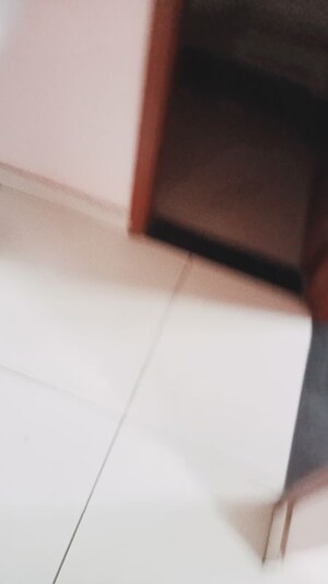 Furnished Amenities in 2 BHK Builder Floor at Sector 14 – for Rent