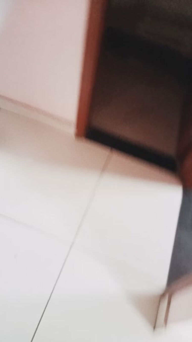 undefined, sector 14 2 Bedroom 250 Sq.Yd. Builder Floor In Sector 14 Hisar 10200249