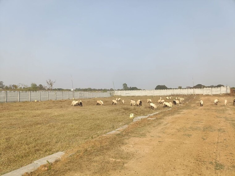 undefined, shadnagar  150 Sq.Yd. Plot In Shadnagar Hyderabad 10200324