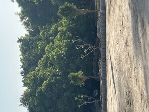  Plot – Garden View at Nayapura - for Sale