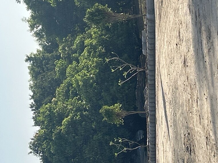Garden, nayapura  1000 Sq.Ft. Plot In Nayapura Kota 10200336
