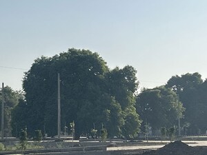 Plot Area in  Plot at Nayapura – for Sale