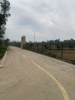 Plot For Sale in Biharigarh