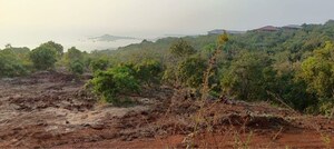 Plot Area in  Plot at Dapoli – for Sale