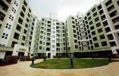 1 BHK Apartment For Rent in Kalpataru Shravasti