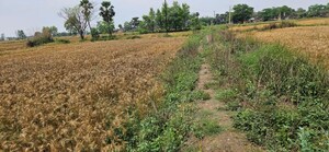 Plot Area in  Plot at Kanhauli – for Sale