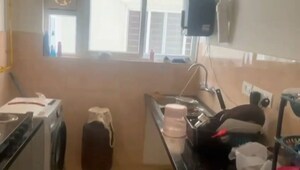  2 BHK Apartment at Prestige High Fields Gachibowli, Gachibowli – for Sale