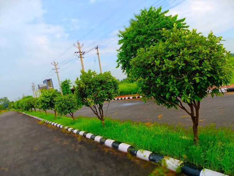 Garden, lifestyle-city  108 Sq.Ft. Plot In Alwar Bypass Road Bhiwadi 10068436