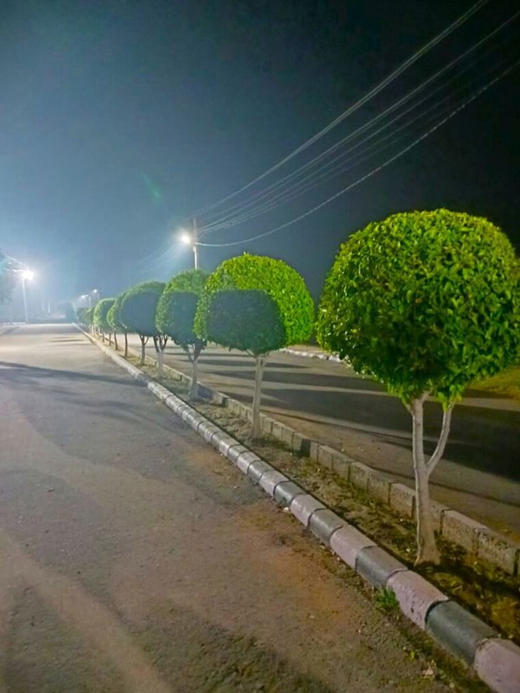 Garden, lifestyle-city  108 Sq.Yd. Plot In Alwar Bypass Road Bhiwadi 10068280