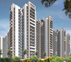 1 BHK Apartment For Rent in Hilla Apartment