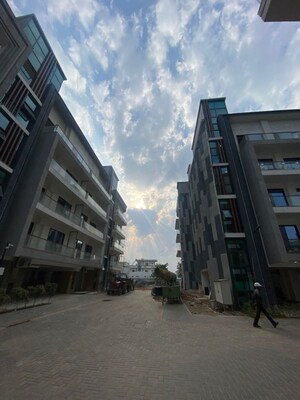 3 BHK Apartment For Sale in Signature Global City 63A, Sector 63a