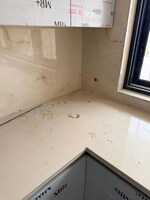 4 BHK + Pooja Room 500 Sq.Yd. Builder Floor in Sector 21C