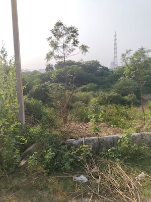 Plot Area in  Plot at Bhogpur – for Sale