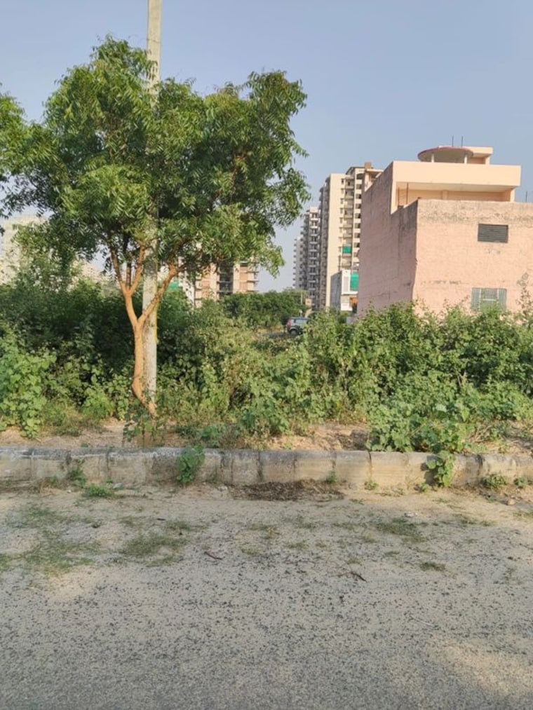 undefined, bhogpur  1120 Sq.Ft. Plot In Bhogpur Panchkula 10201690