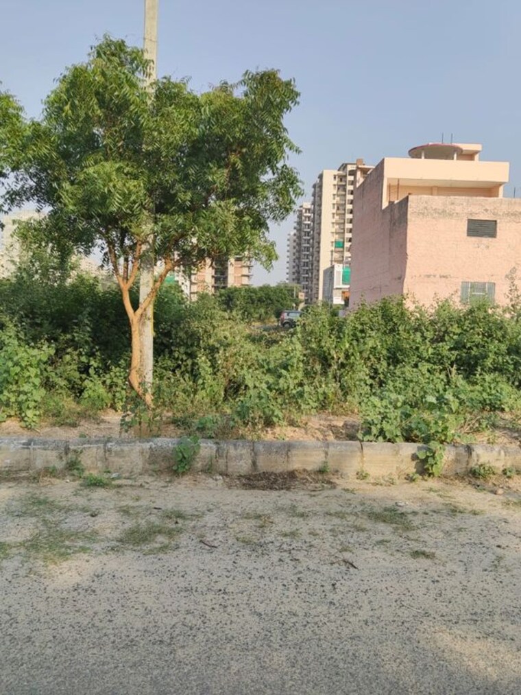 undefined, bhogpur  1825 Sq.Ft. Plot In Bhogpur Panchkula 10201694