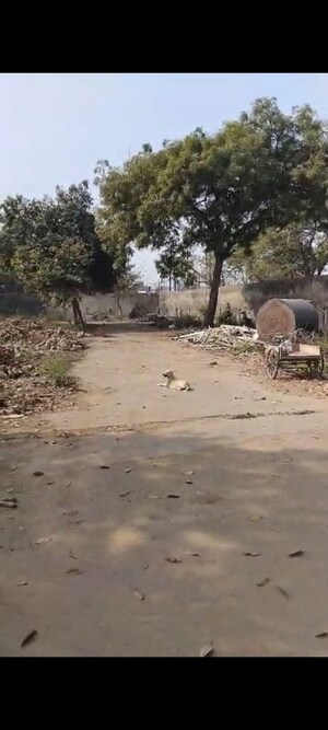 Plot Area in  Plot at Model Town – for Sale