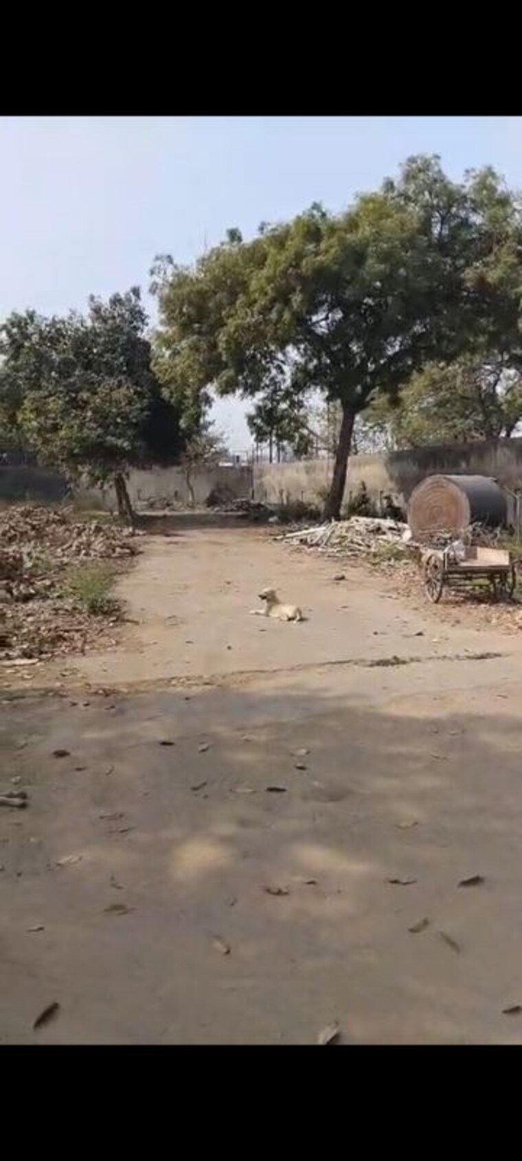 undefined, model town  110 Sq.Yd. Plot In Model Town Ghaziabad 10201736