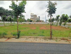 Plot For Sale in Devanahalli
